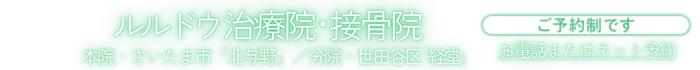 肩こり・頭痛・腰痛・交通事故ならさいたま市「北与野」・世田谷区「経堂」にあるルルドウ治療院・接骨院